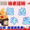 10月23日時來運轉一路發，龍虎兔牛鼠蛇，88秒內打開，好運跟著來『16888』