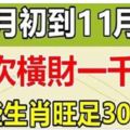 一次橫財一千萬！這些生肖11月初到11月底，橫財不斷！旺足30天