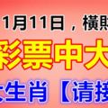 今天11月11日，橫財入命，買彩票可以中大獎的生肖，五大生肖【請接財】