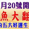 11月20號開始，鹹魚大翻身的五大好運生肖