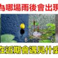 心理學：你認為哪場雨後會出現彩虹，測你在近期會遇見什麼驚喜