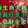 這5生肖大難過後，12月最旺惹不起，吉星高照，一人發財，全家吃香！