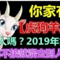 你家有屬【虎狗羊兔牛】的人嗎？2019年馬上有錢，馬上有福，再不接就溜去別人家啦！