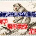 4生肖的2019年滿是幸福，錢不離手，福不離身，笑不離面