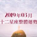 2019年3月｜十二星座整體運勢｜內心的波動轉為堅定，本月運勢會逐漸UPUP嗎？