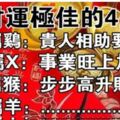 2019年偏財運極佳的生肖，前四名有你嗎？