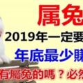 屬兔人：2019年一定要這麼做，年底最少賺百萬，誰家有屬兔的，刻不容緩，趕緊通知他