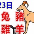 3月23日生肖運勢_馬、兔、豬大吉