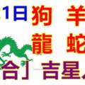 5月21日生肖運勢_狗、羊、虎大吉