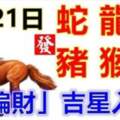 8月21日生肖運勢_蛇、龍、牛大吉