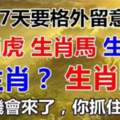 未來七天要格外留意了，這些生肖轉運機會來了