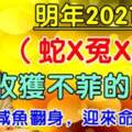 2021年迎來命中貴人，鹹魚翻身的生肖