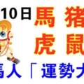 11月10日生肖運勢_馬、豬、狗大吉