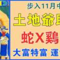 11月中旬土地爺幫助（蛇X雞鼠）喜事接二連三，運勢很旺