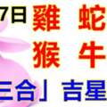 7月27日生肖運勢_雞、蛇、鼠大吉