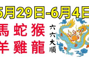 12生肖周運勢！馬、蛇、猴、羊、雞、龍！六六大順！（5月29日—6月4日）