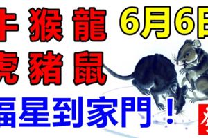 6月6日，生肖牛、猴、龍、虎、豬、鼠！福星到家門！