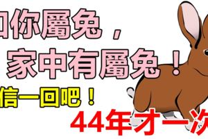 如果你不屬兔，你最愛的人屬兔，或家中有屬兔，44年才一次！迷信一回吧！