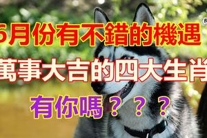 6月份有不錯的機遇萬事大吉的四大生肖有你嗎？