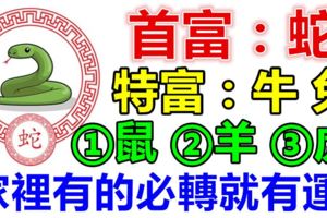 7月：你家裡有生肖【蛇牛兔鼠羊虎】嗎？家裡有的就有運！