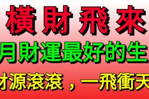 橫財飛來！下月財運最好，財源滾滾一飛衝天的6大生肖！