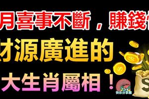 8月喜事不斷，賺錢快，財源廣進的3大生肖屬相！