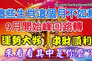 這些生肖這個月不如意，9月開始峰迴路轉，運勢大好，求財順利，來看看其中是你麼？