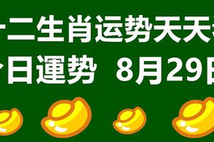 十二生肖運勢天天看，今日運勢：8月29日