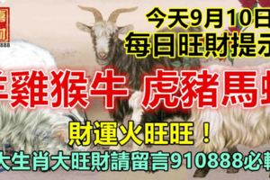 今天9月10日：每日旺財提示：羊雞猴牛，虎豬馬蛇。財運火旺旺！八大生肖大旺財請留言910888必轉！