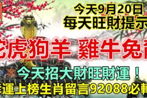 今天9月20日，每天旺財提示：蛇虎狗羊，雞牛兔龍。今天招大財旺財運！幸運上榜生肖留言92088必轉！