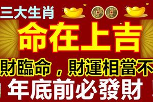 這三大生肖命在上吉，橫財臨命，財運相當不錯，年底前必發財！