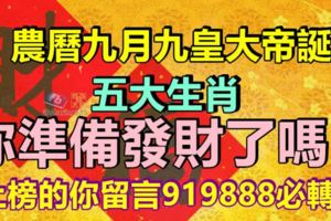 農曆九月九皇大帝誕，五大生肖，你準備發財了嗎？上榜的你必轉！