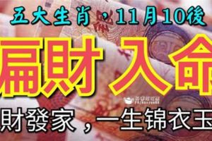 五大生肖，11月10號開始偏財入命，橫財發家，一生錦衣玉食