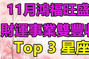 11月鴻福旺盛，財運事業雙豐收的3大星座