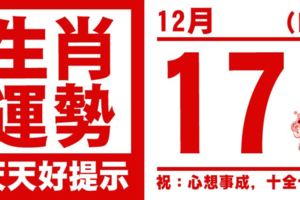 生肖運勢，天天好提示（12月17日）