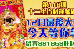 第118期十二生肖財運號碼。平安夜中頭獎！今晚就拿錢！