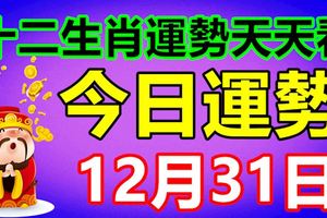 十二生肖運勢天天看，今日運勢：12月31日