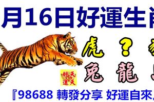 3月16日好運生肖，春光輝映滿堂春！【虎+？+豬+兔+龍+馬】『98688轉發分享好運自來』