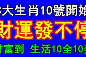 財富到生活10全10美！3大生肖10號開始財運發不停