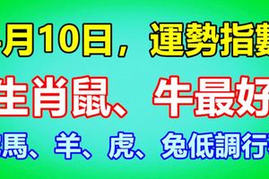 4月10日，運勢指數，生肖鼠、牛最好；蛇馬、羊、虎、兔低調行事