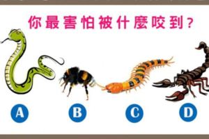 【免費心理測驗】【準準的】測你內心最害怕失去的是什麼?