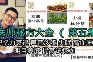 陸醫師秘方大全（第四集）內有記憶力衰退，聲音沙啞，失眠，高血壓，明目養肝和提高記憶力秘方。