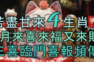 苦盡甘來的4大生肖，8月起來喜來福又來財，三喜臨門，喜報頻傳！