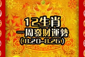 12生肖一周發財運勢【8.20-8.26】