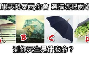 心理學：如果天降暴雨，你會選擇哪把雨傘？測你天生是什麼命？