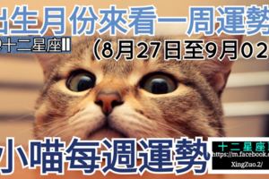 【出生月份來看一周運勢】小喵每週運勢（8月27日至9月02日）