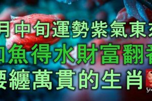 9月中旬，運勢紫氣東來，如魚得水，財富翻番，腰纏萬貫的生肖！