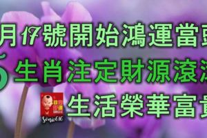 9月17號開始鴻運當頭，5生肖註定財源滾滾，生活榮華富貴！