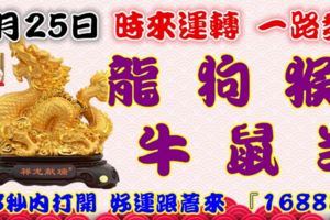 9月25日時來運轉一路發，龍狗猴牛鼠羊，88秒內打開好運跟著來『16888』