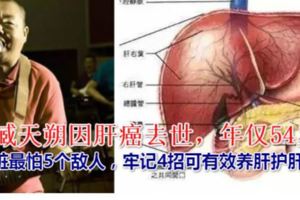歌手臧天朔因肝癌去世！肝髒最怕5個敵人，牢記4招可有效養肝護肝
